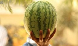 吃瓜大瓜事件,揭秘网络舆论狂欢背后的真相